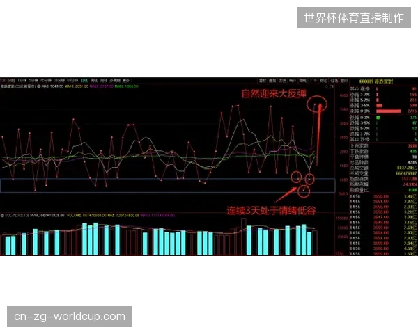 大型赛事运营逻辑偏离，从赛事执行转向二级市场全周期管理已是生存刚需
